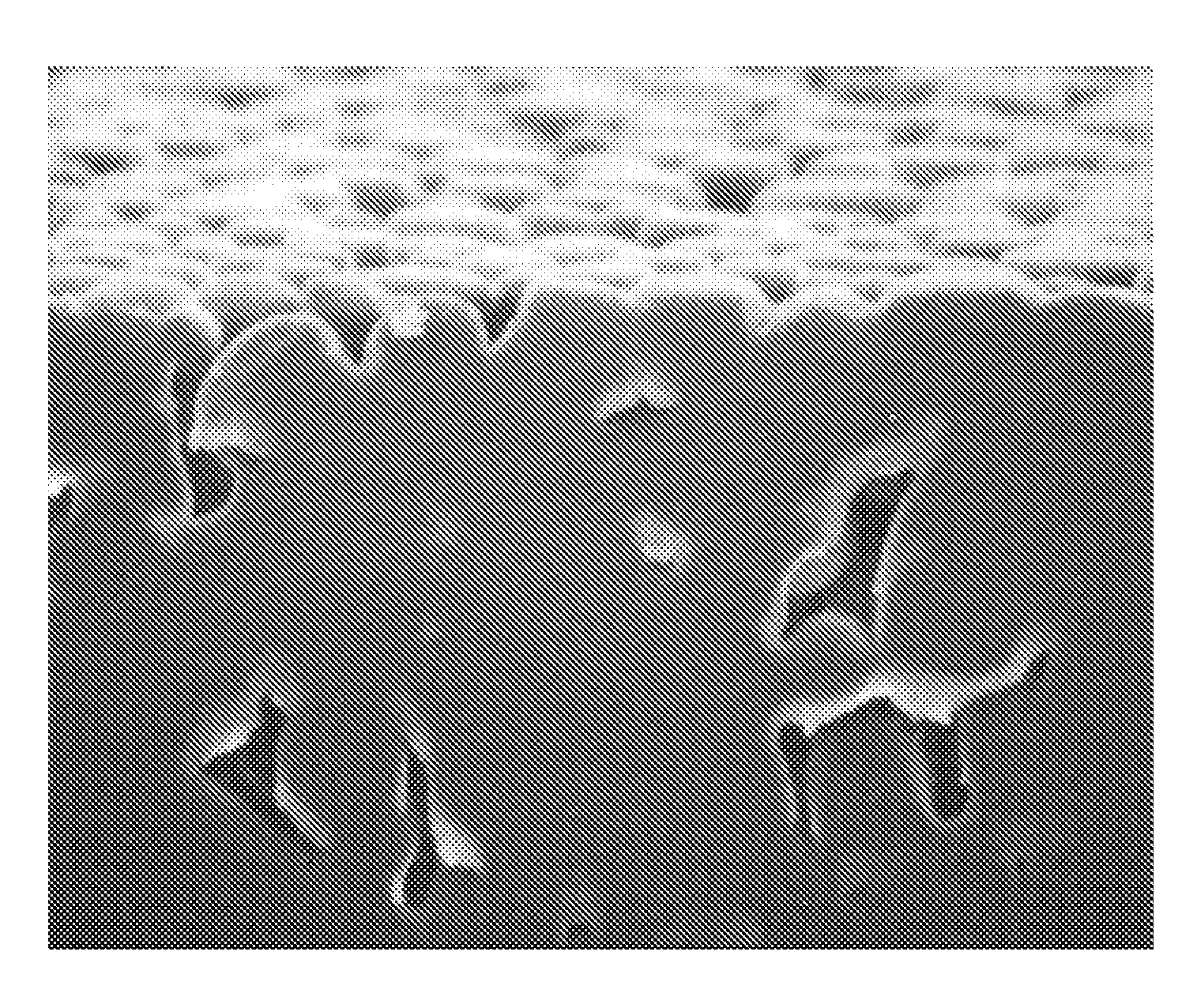 Method of producing porous sheet and porous sheet obtained by the production method