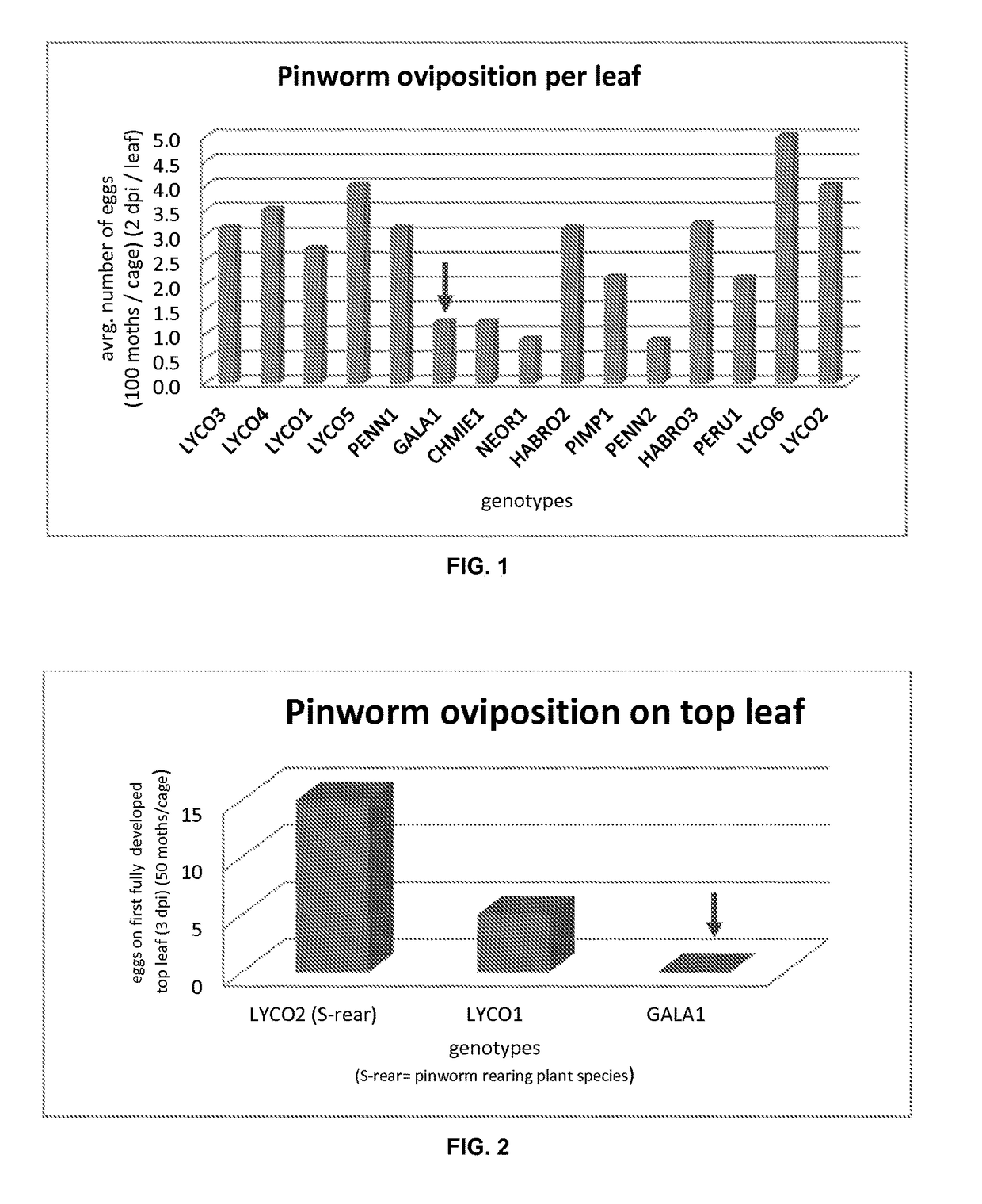 Resistance to arthropod pest in tomatoes