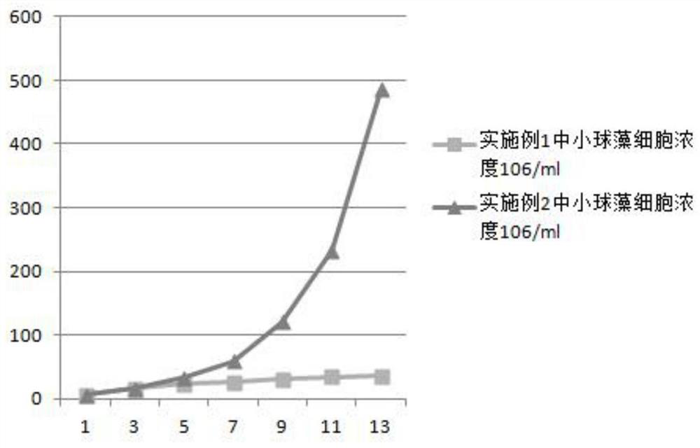 A method and preparation for controlling chlorella large-scale cultivation of polluting bacteria