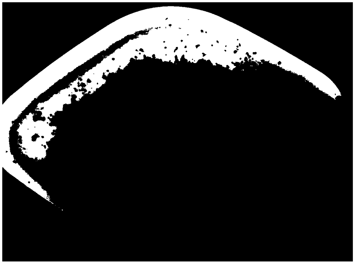 Inorganic-cellulose composite carbon aerogel and preparation method thereof