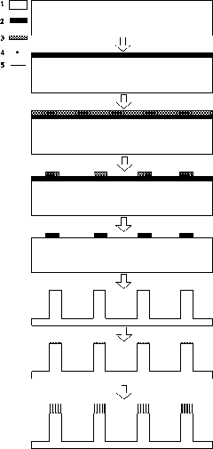 Bionic micro/nano structure preparing method