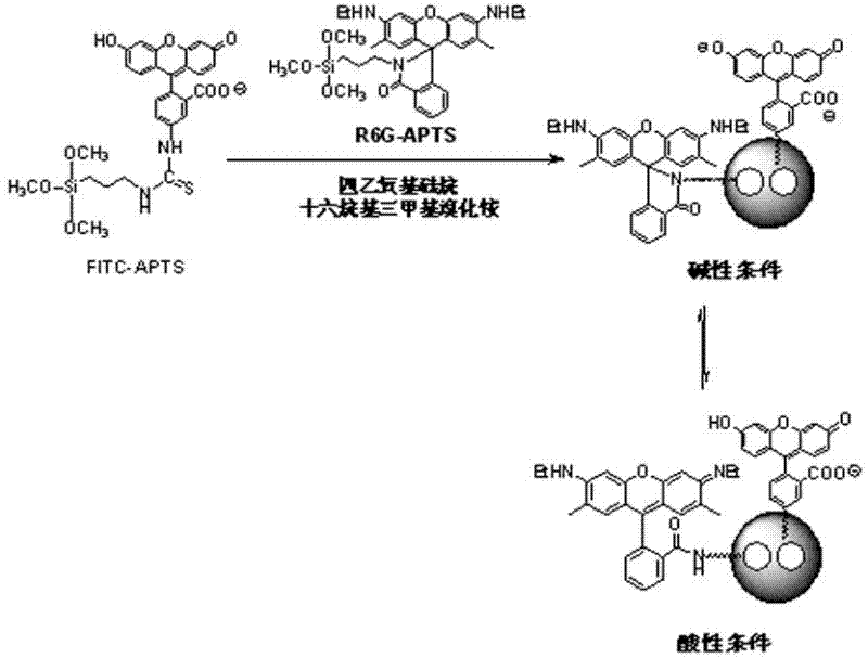 Mesoporous silicon dioxide nano particle with bifluorescence mark