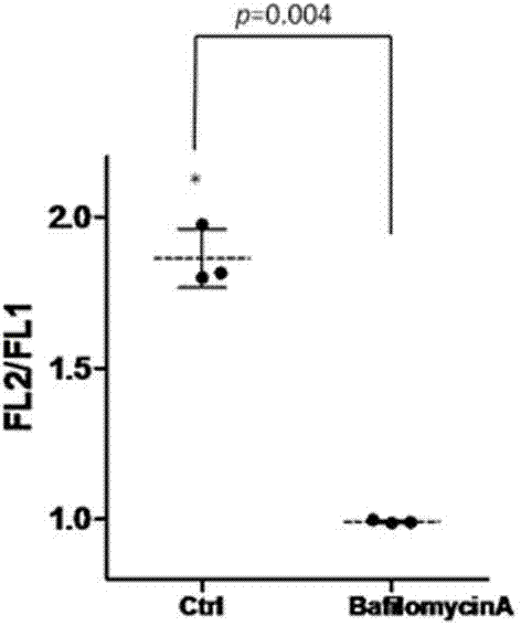 Mesoporous silicon dioxide nano particle with bifluorescence mark