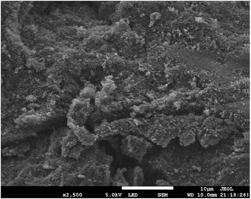 Carbon-based phase change energy storage material for solar direct photo-thermal conversion and preparation method of carbon-based phase change energy storage material