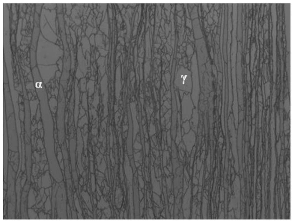 Electrolytic etching method for displaying two-phase structure and grain boundary of duplex stainless steel