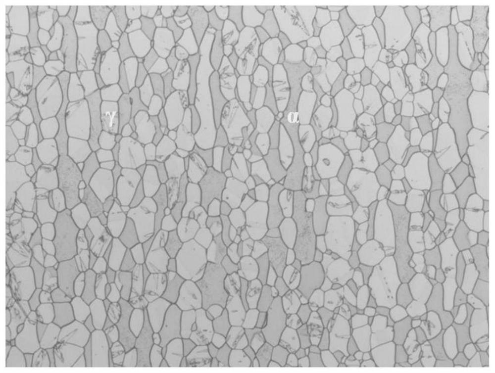 Electrolytic etching method for displaying two-phase structure and grain boundary of duplex stainless steel