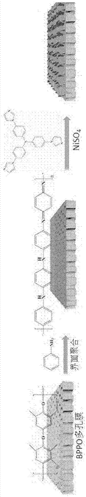 MOF (metal-organic framework) separating layer film and preparation method thereof