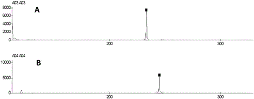 Application of EST-SSR marker primer combination and screening method in germplasm genetic diversity analysis of dwarf type and sprawl type of peas