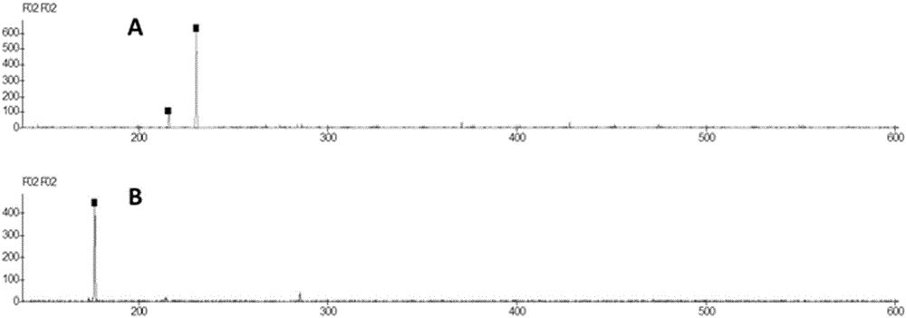 Application of EST-SSR marker primer combination and screening method in germplasm genetic diversity analysis of dwarf type and sprawl type of peas