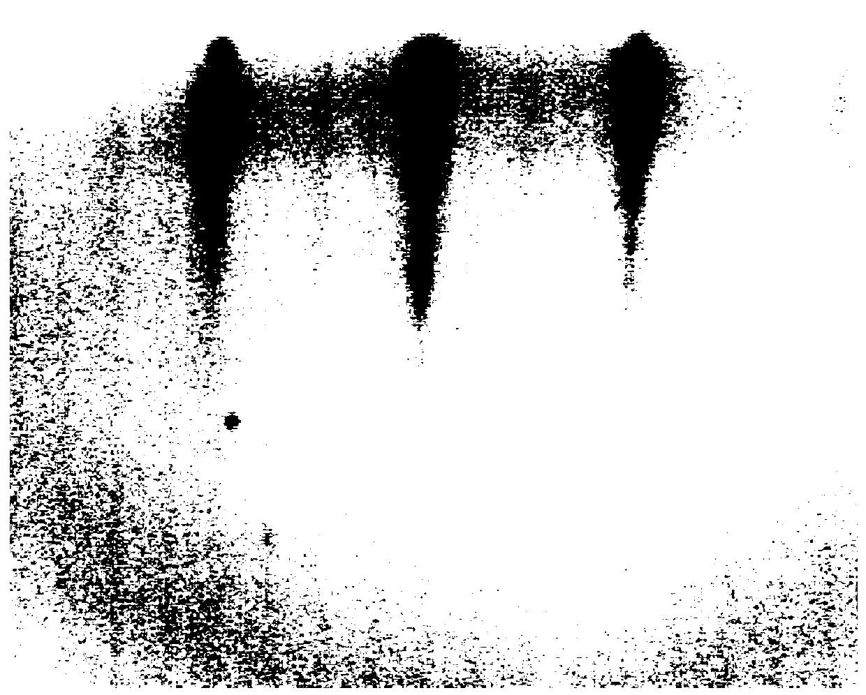 Method for preparing large-area beta-phase indium selenide single crystal film