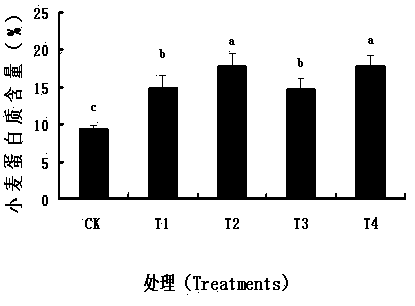 Special functional melt granulated humic acid fertilizer and production method thereof