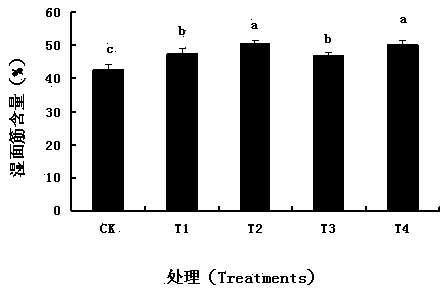 Special functional melt granulated humic acid fertilizer and production method thereof