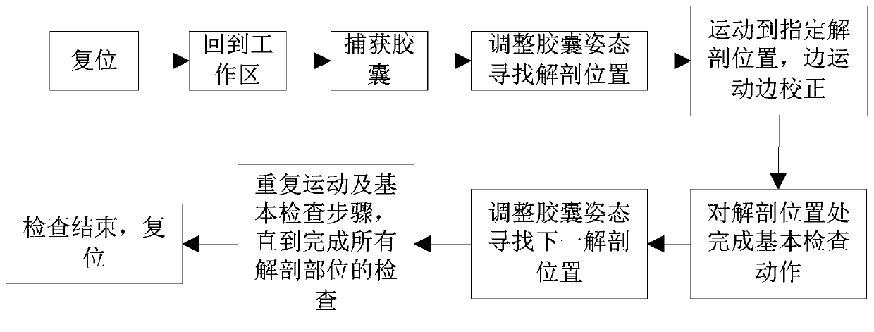 Capsule automatic navigation system and navigation method