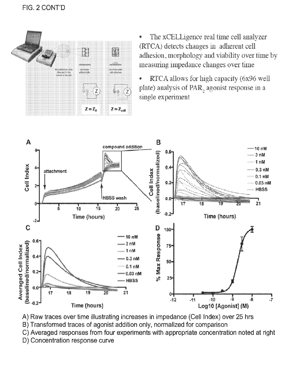 Par2 mimetic peptides and uses thereof