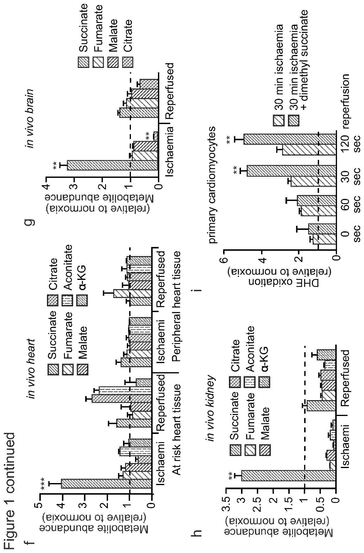 Succinate dehydrogenase inhibitors (SDHi's)