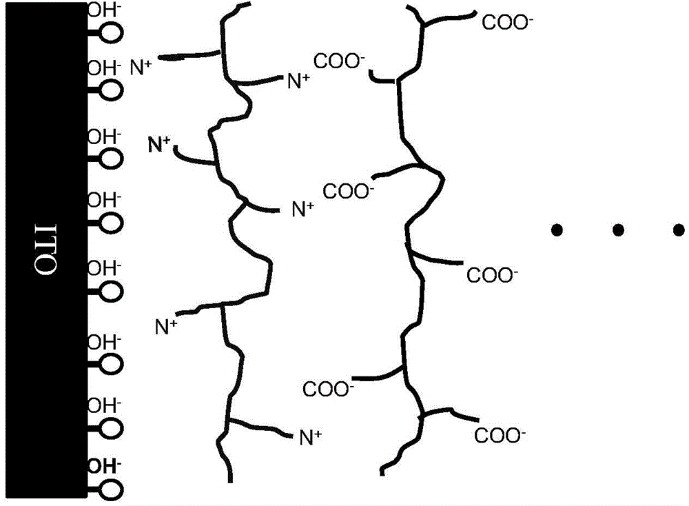 Preparation method of organic optoelectronic device cathode interface layer based on conjugated polyelectrolyte and application thereof