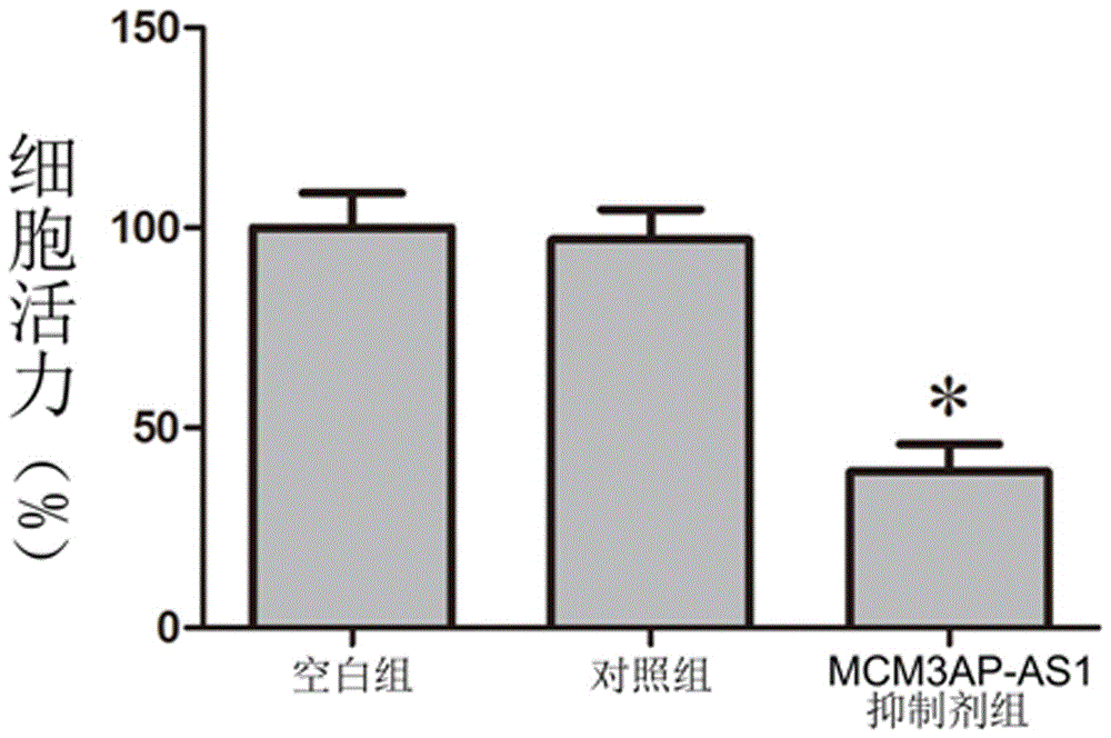 Targeting inhibitor for MCM3AP-AS1 gene and application of targeting inhibitor