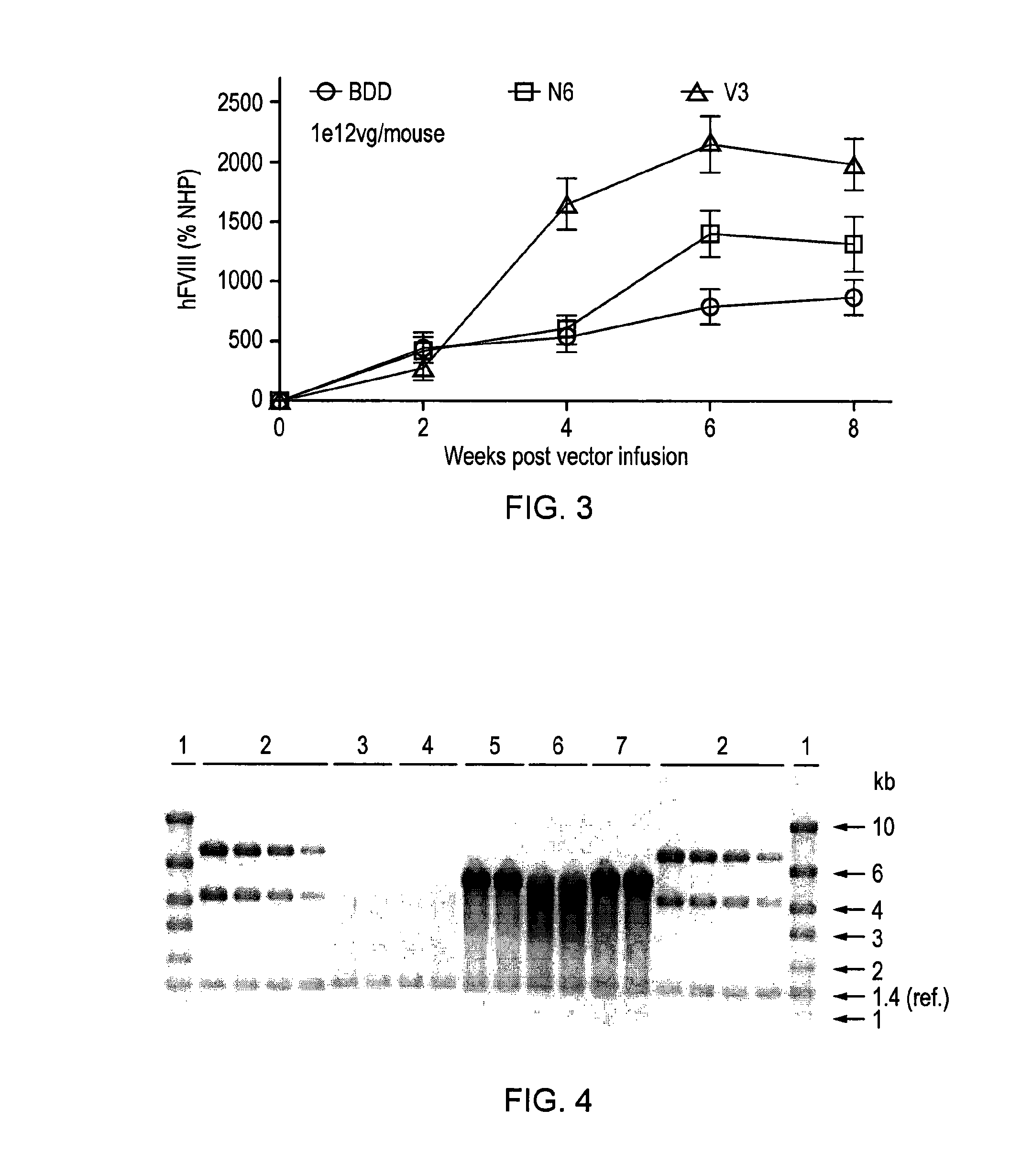 Factor viii sequences