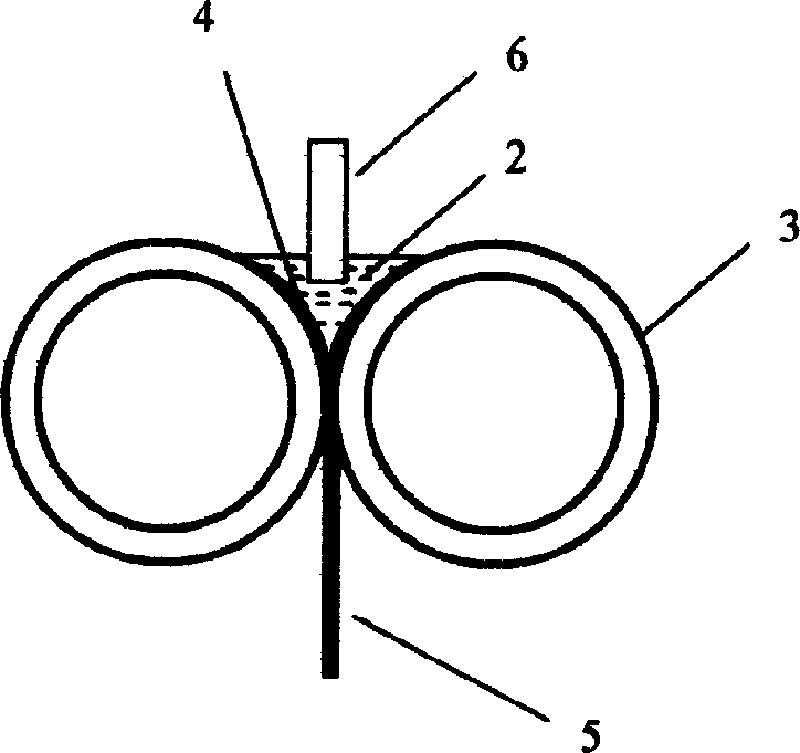 Process for continuously casting magnesium alloy thin strip blank