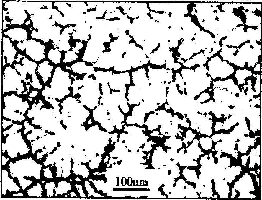 Process for continuously casting magnesium alloy thin strip blank