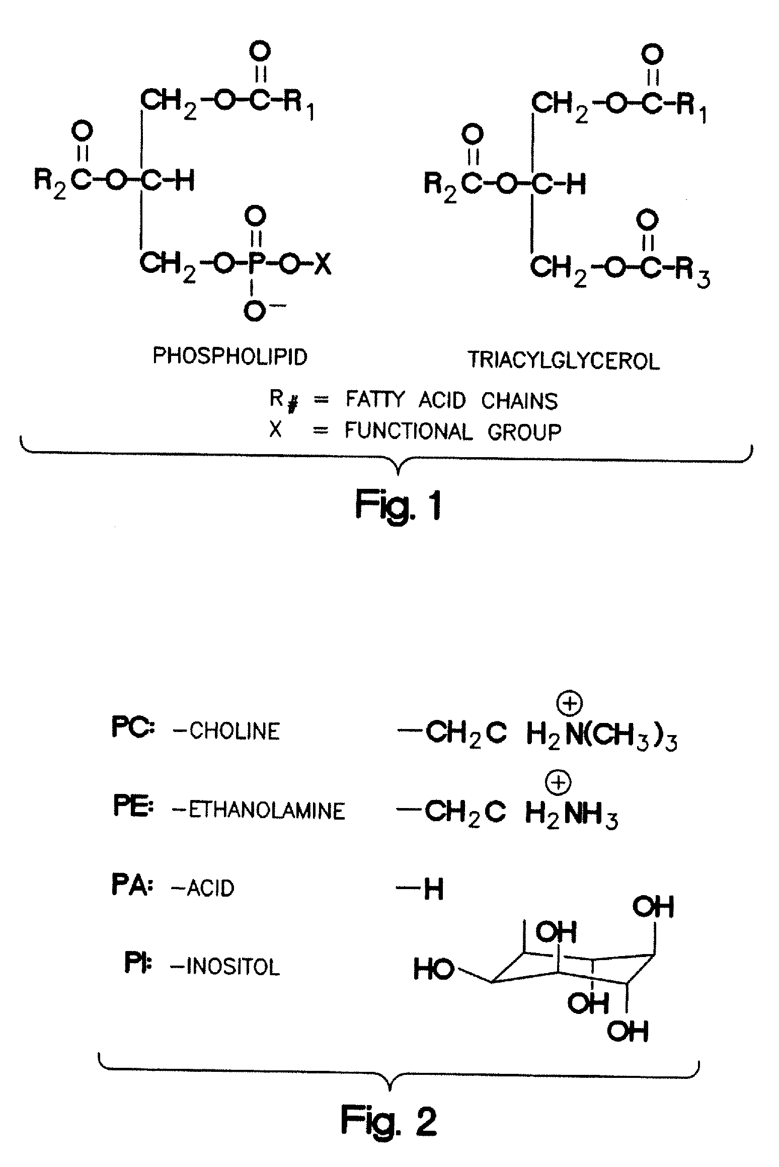 Enzymatic Degumming Utilizing a Mixture of PLA and PLC Phospholipases with Reduced Reaction Time