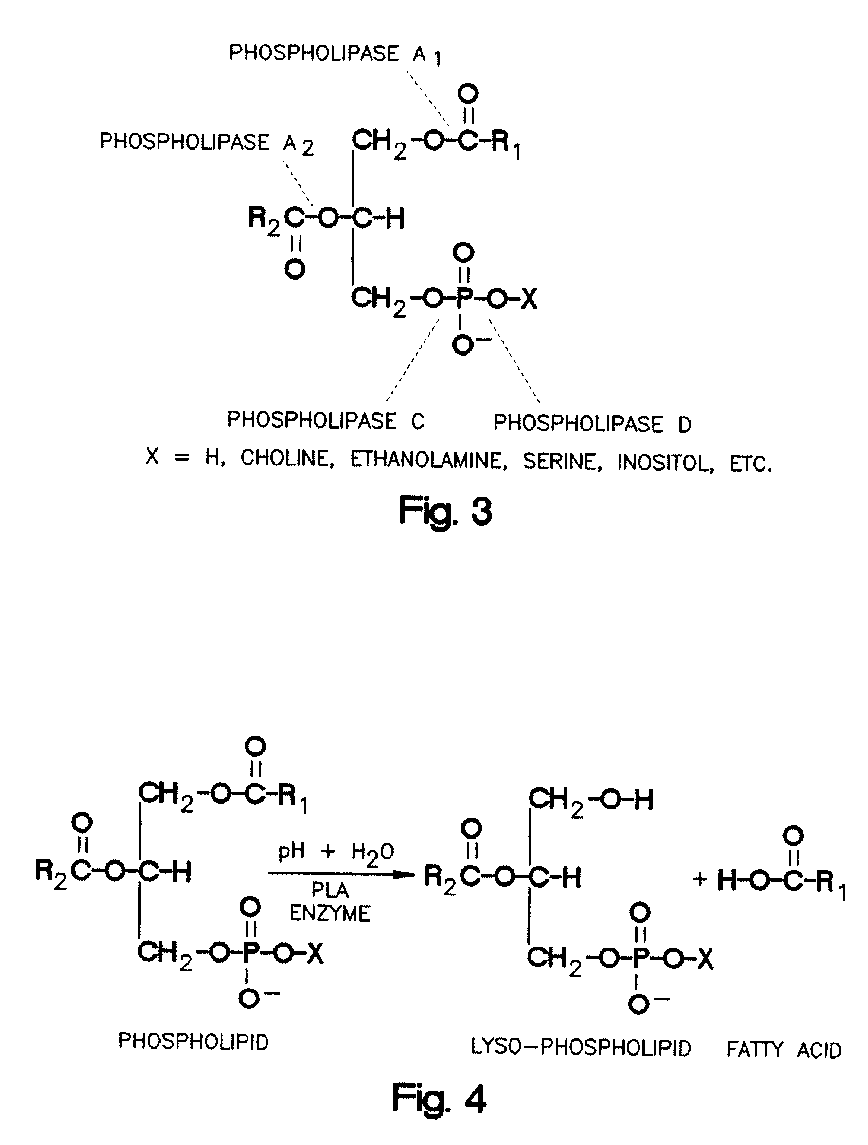 Enzymatic Degumming Utilizing a Mixture of PLA and PLC Phospholipases with Reduced Reaction Time