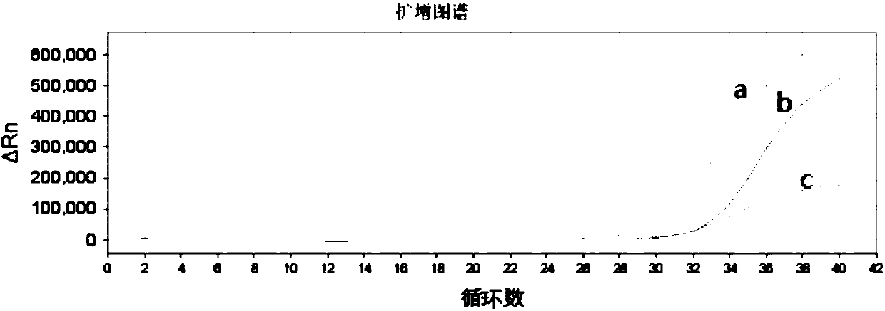 Primer pair, kit and method for methylation detection of stomach cancer related genes Reprimo and RNF180