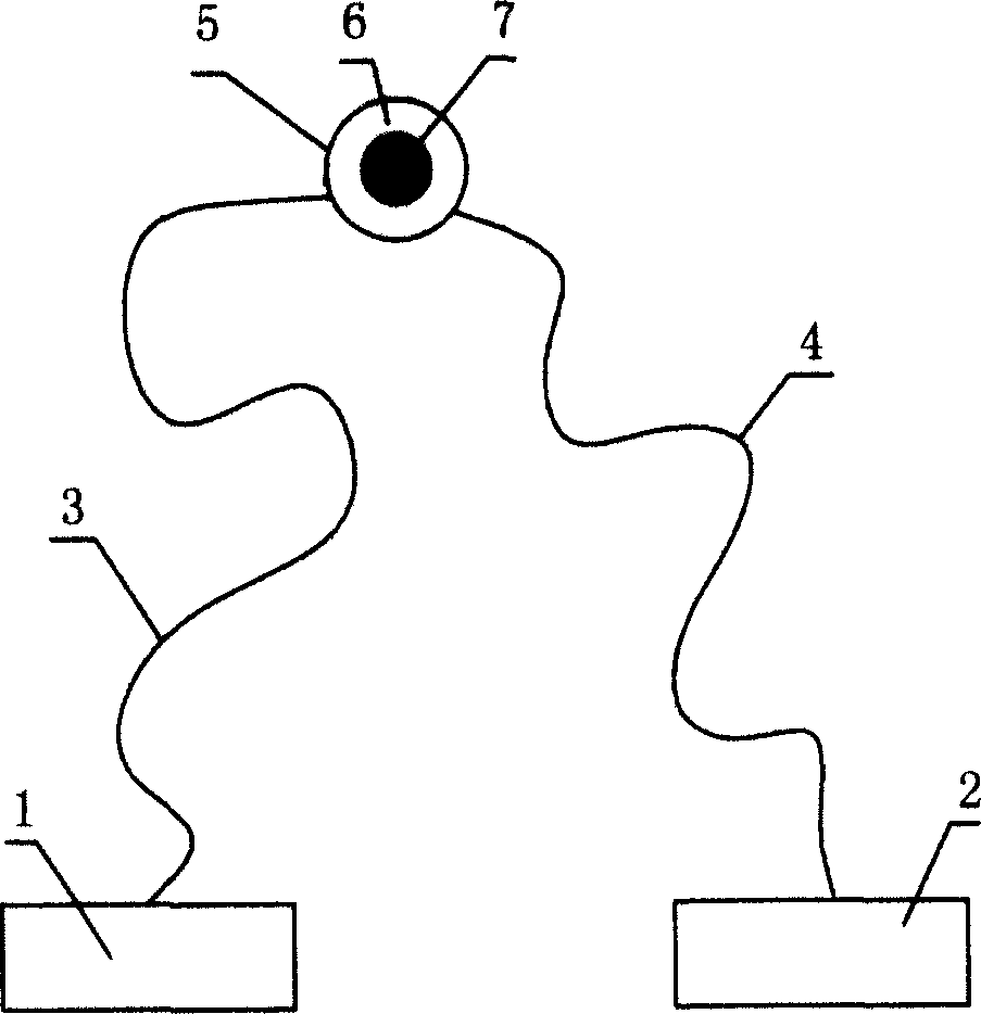 Small-range dynamic GPS topographic surveying method