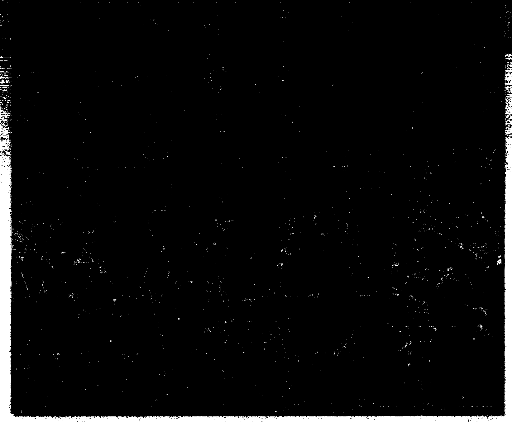 Preparation method and use of nano-SiC whisker