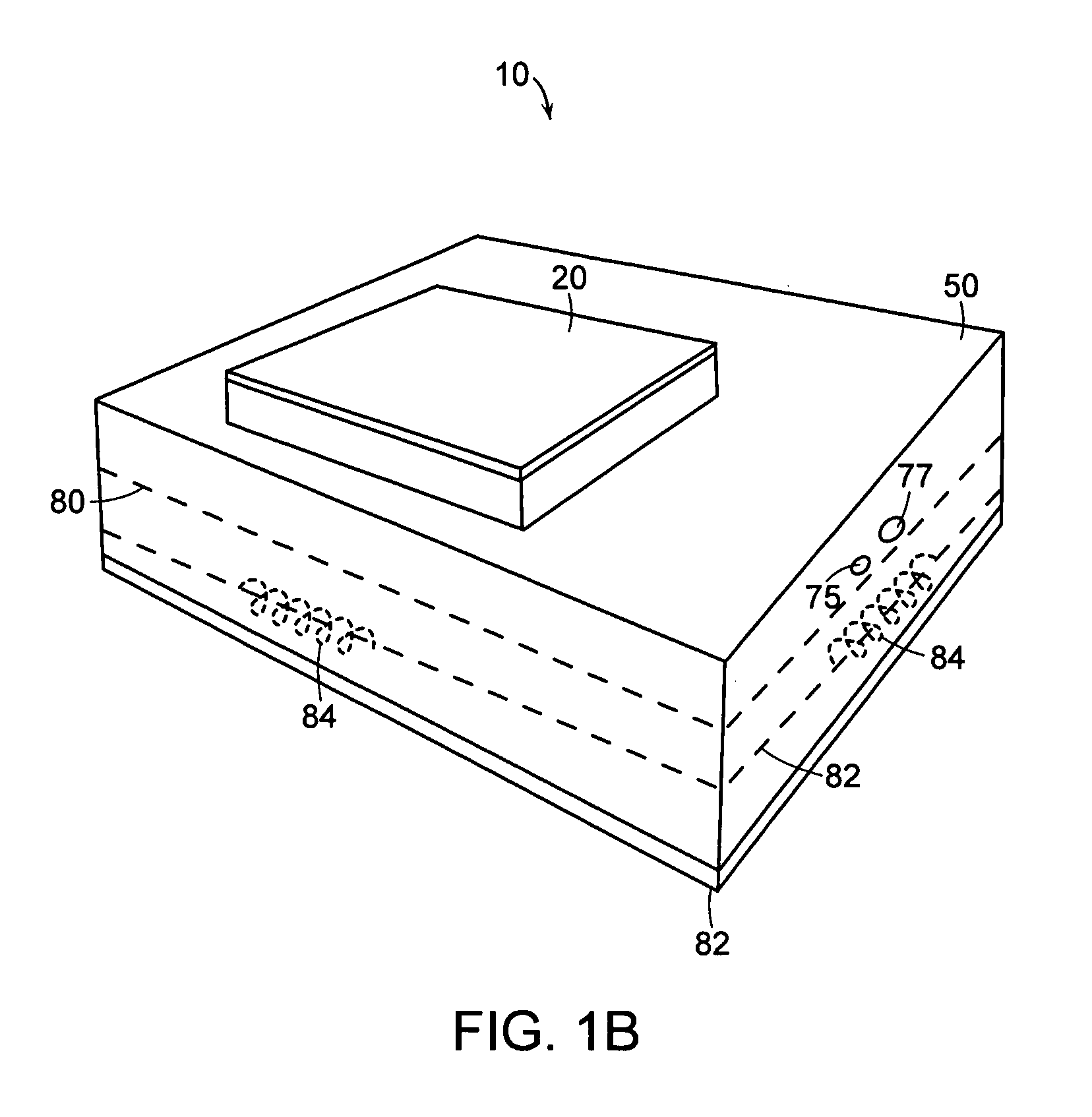 Ruggedized apparatus for analysis of nucleic acid and proteins