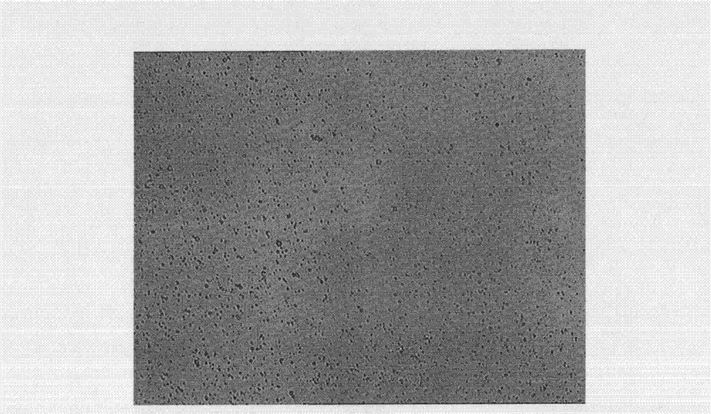 Self-solidified microspheres and preparation method and application thereof