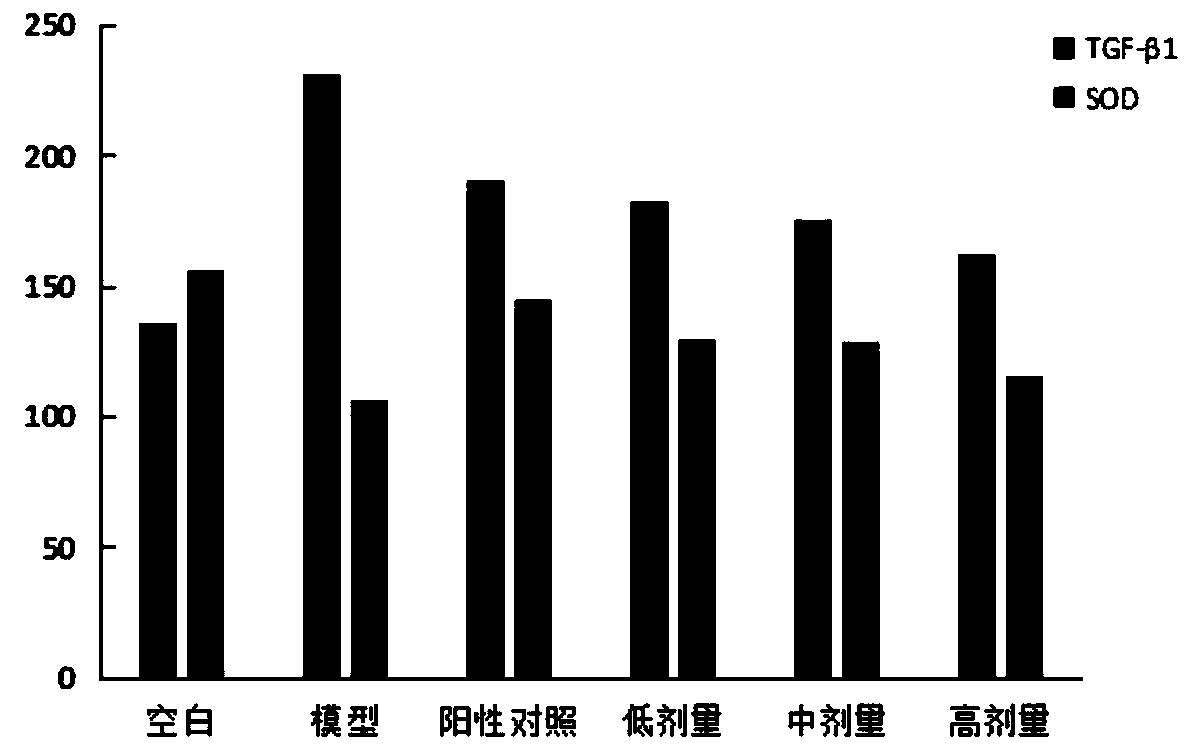 Seabuckthorn-tremella fuciformis lung-clearing solid beverage and preparation method thereof