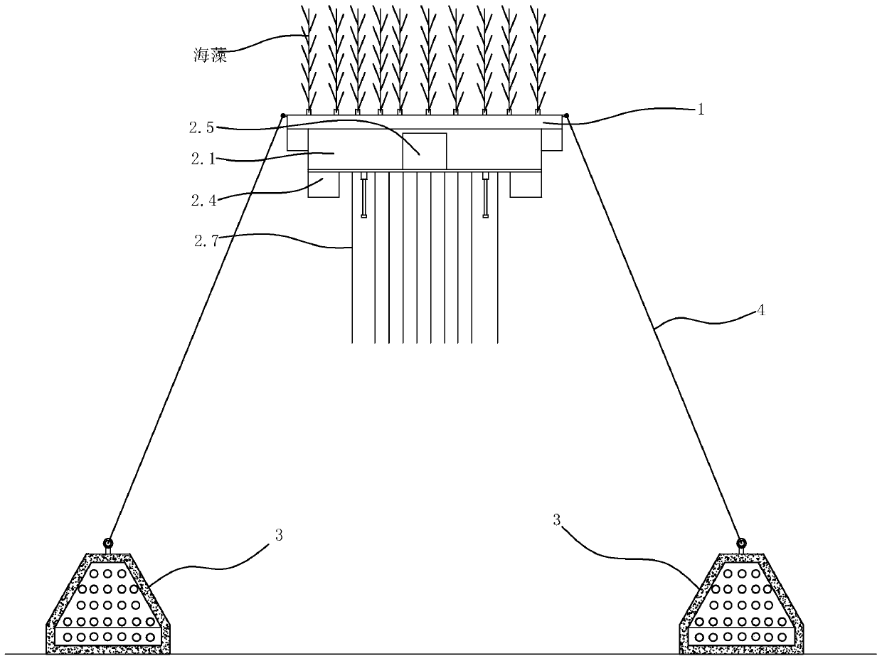 Composite type mussel reef fish gathering device