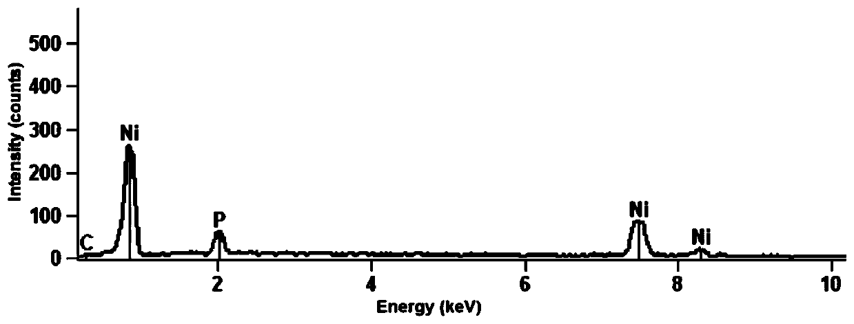 Preparation method of graphene-nickel phosphide composite coating and prepared coating