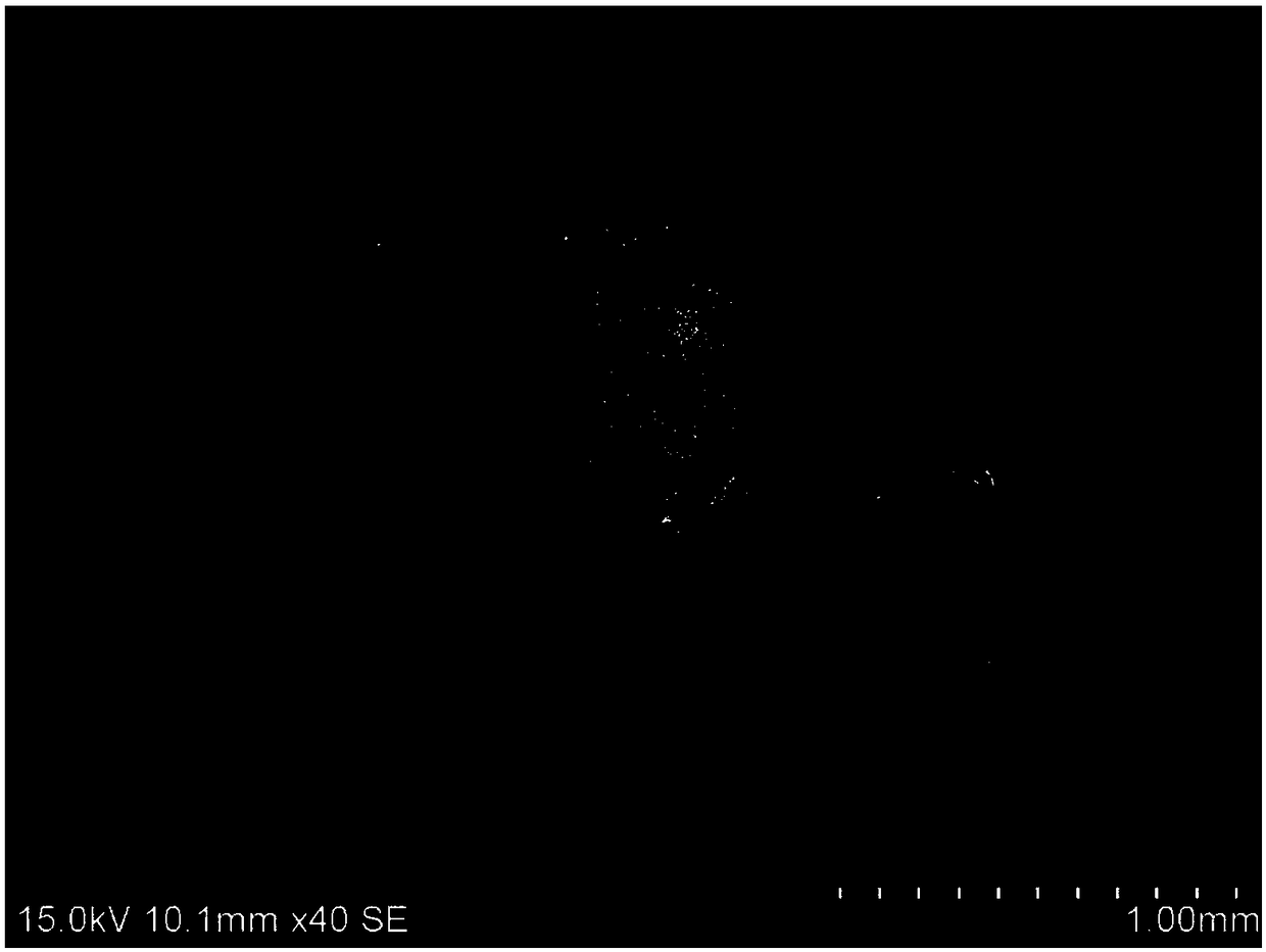 Nickel base self-lubricating coating on surface of titanium alloy by laser cladding and preparation method thereof