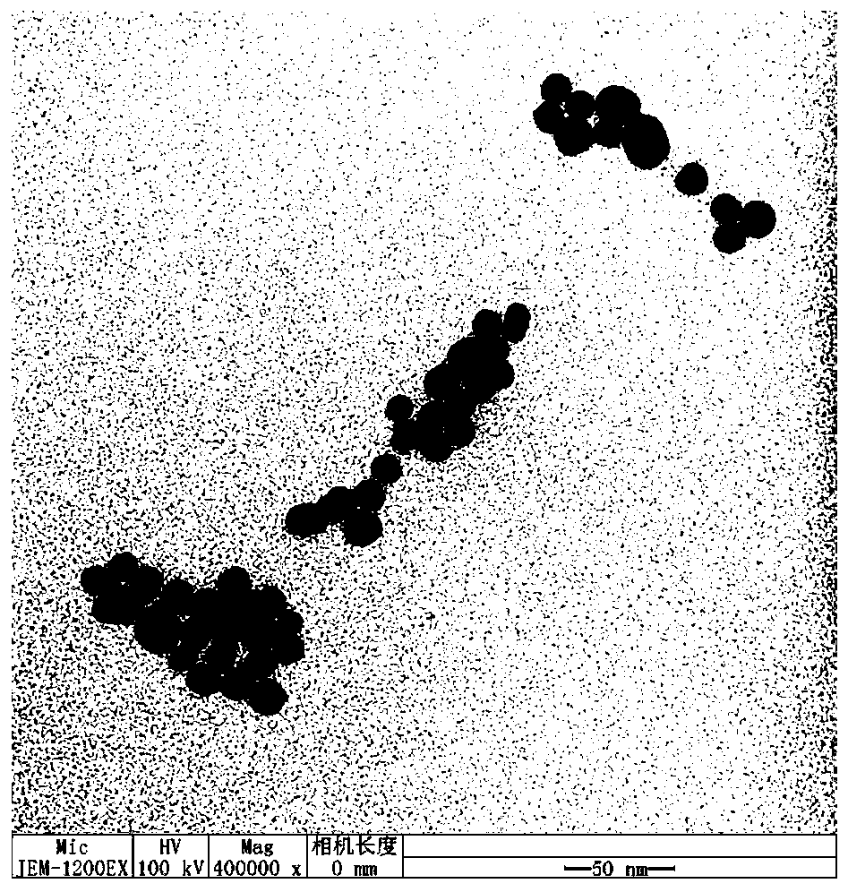 Fluorescent biosensor based on nucleic acid recognition induction and application thereof