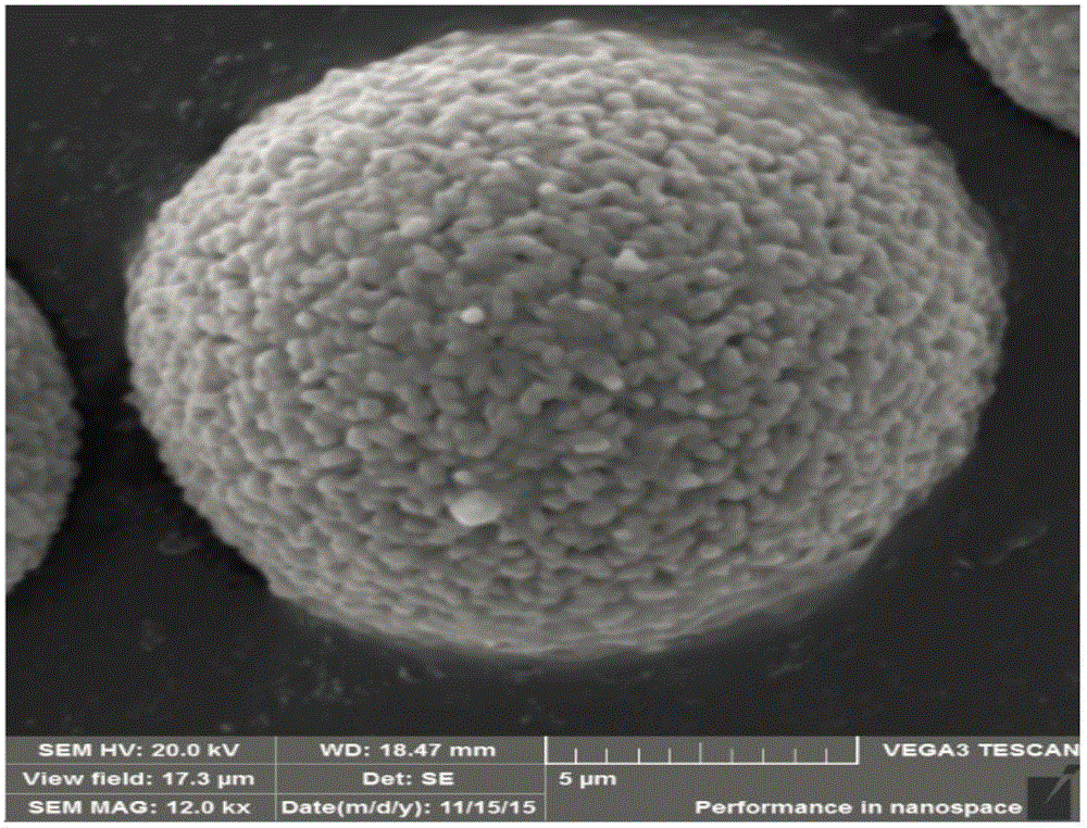 Lithium ion battery anode material with surface hydrophobicity and preparation method of lithium ion battery anode material