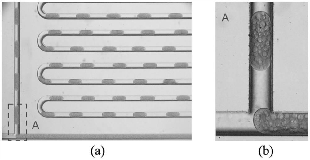 Solid conveying method based on Pickering emulsion in microreactor system