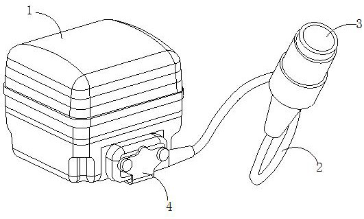 Microbial sensor for detecting cadmium ions