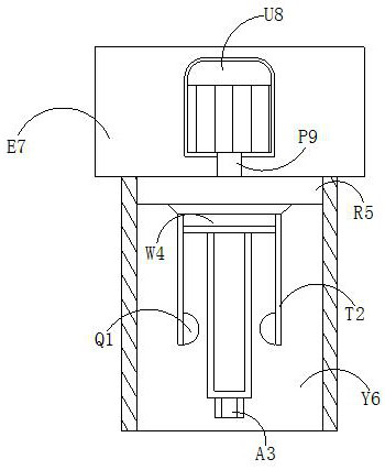 Microbial sensor for detecting cadmium ions