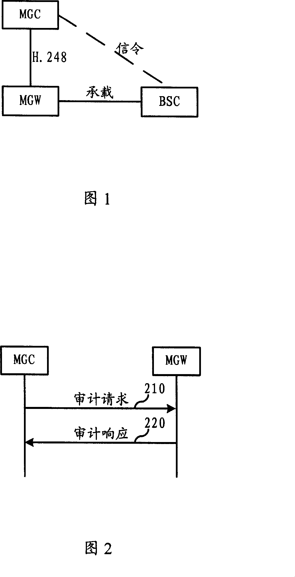 Audit method and system of carrying end