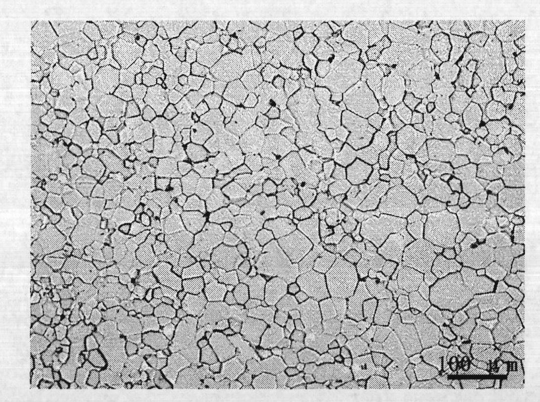 Observation method of Ti-Ni alloy metallographic structure