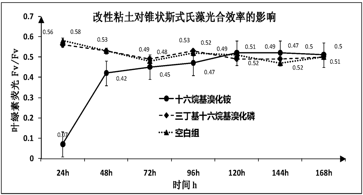 Method for inhibiting algae growth by coupling modified clay with algal inhibition bacteria