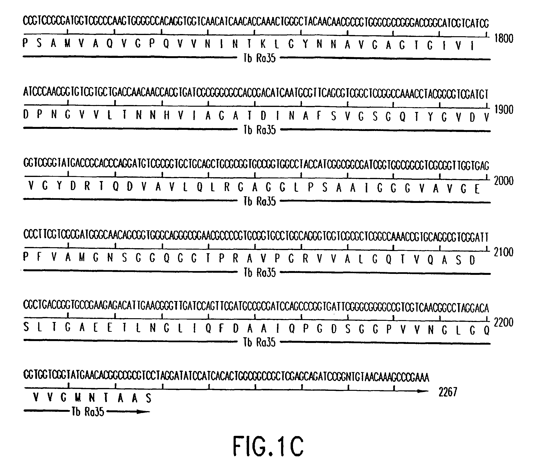 Fusion proteins of mycobacterium tuberculosis antigens and their uses