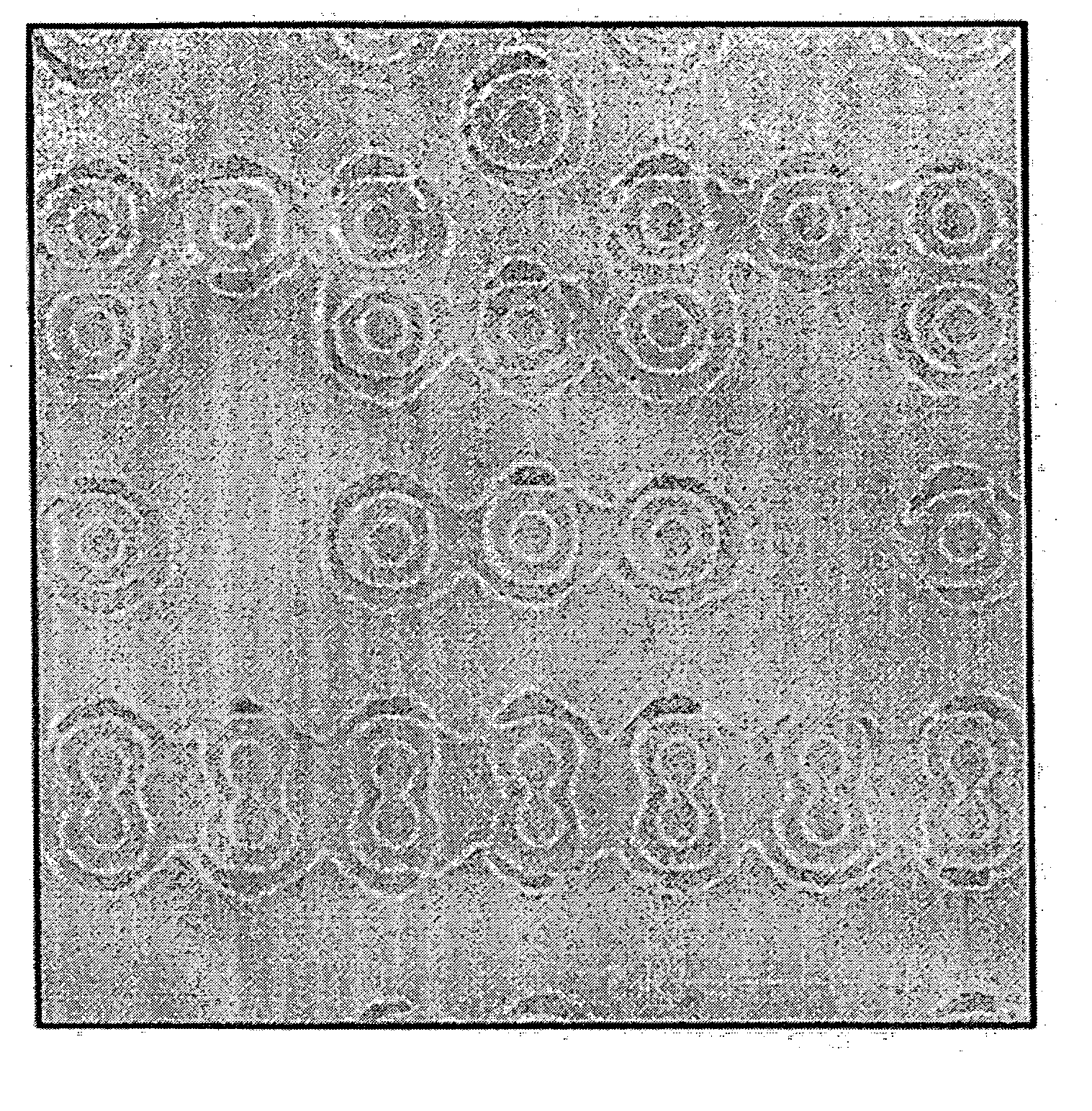 Photoresist cleaning solutions and methods for pattern formation using the same