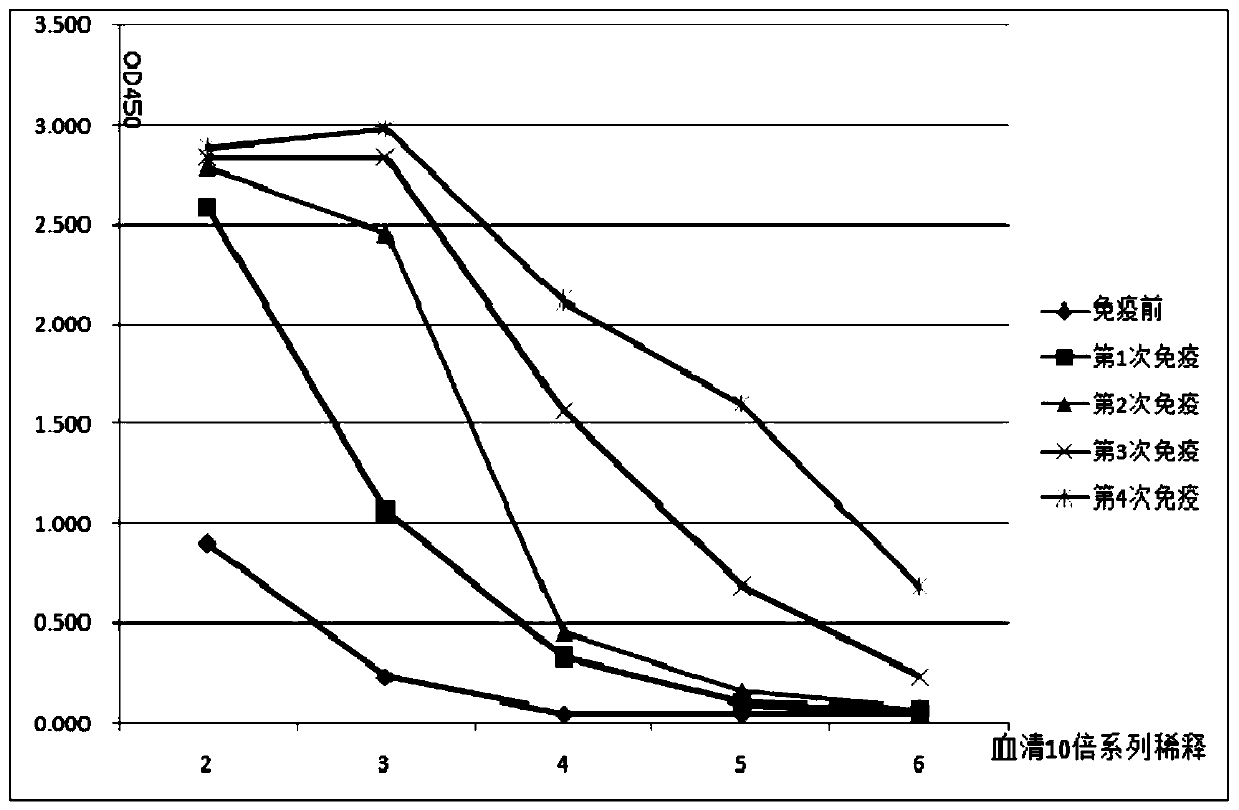 Single-domain antibody combined with immune globulin, anti-avian-influenza single-domain antibody, bifunctional antibody and application thereof