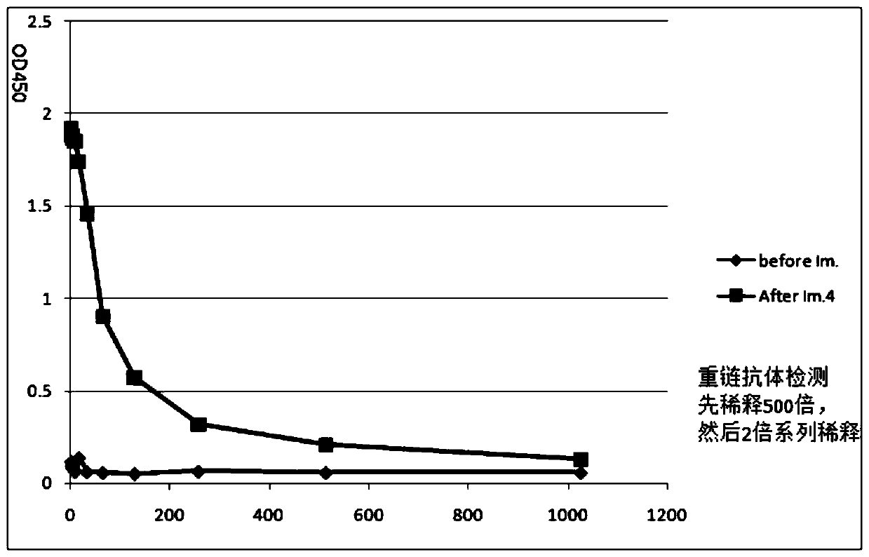 Single-domain antibody combined with immune globulin, anti-avian-influenza single-domain antibody, bifunctional antibody and application thereof