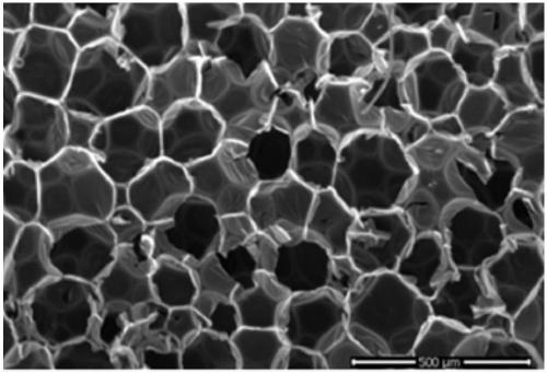 Polyurethane foaming method by combining and using carbon dioxide and organic amine