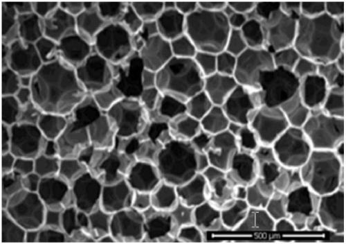 Polyurethane foaming method by combining and using carbon dioxide and organic amine