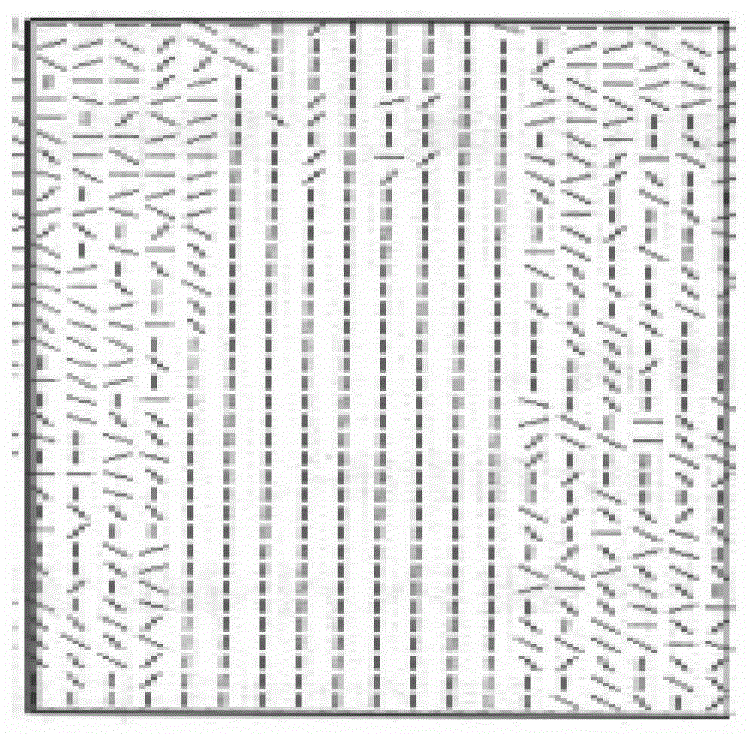 The Method of Locating Spacers of Transmission Lines Using Video Image Processing Technology